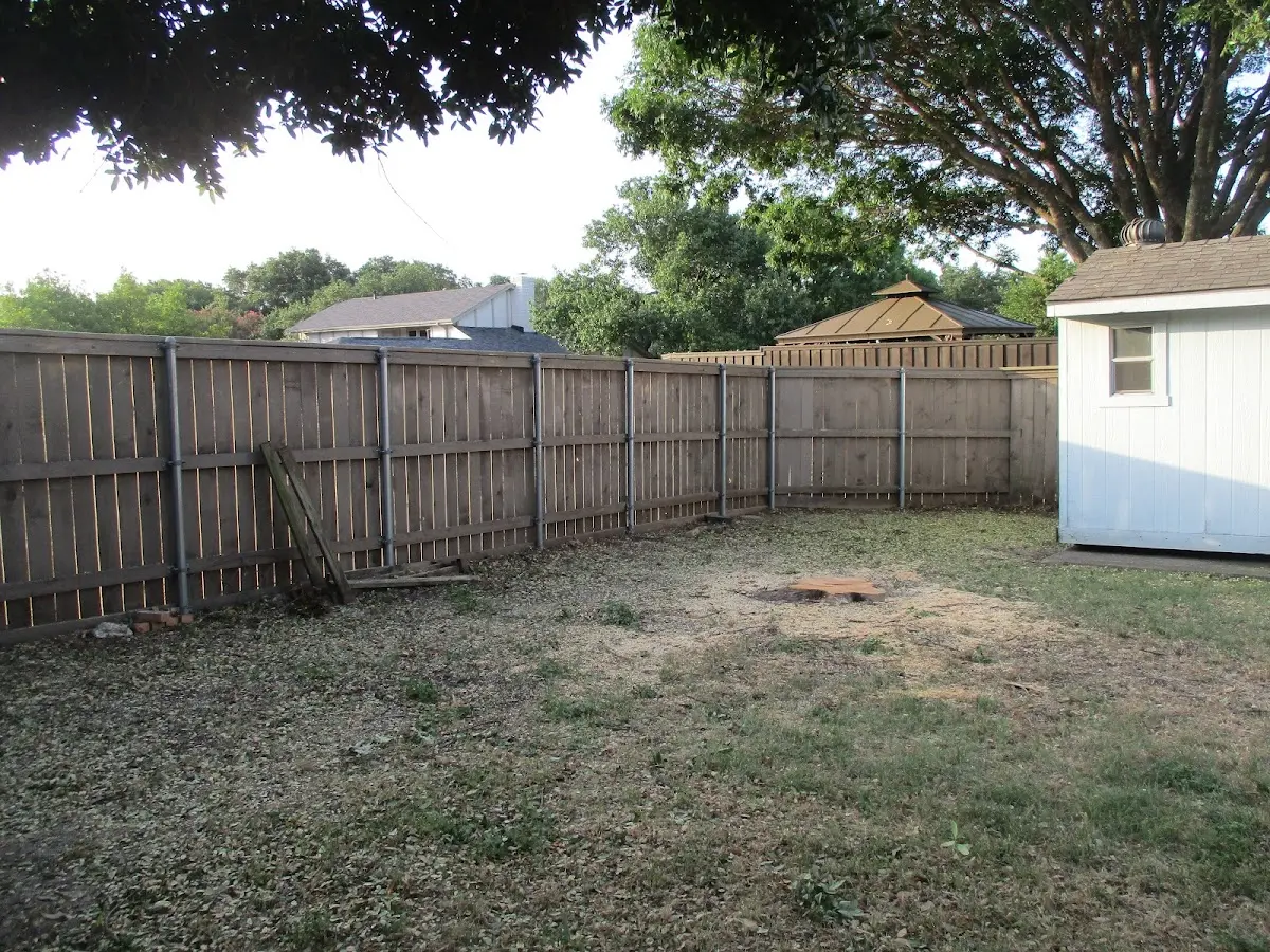 Cleared yard after professional tree removal in Waverly